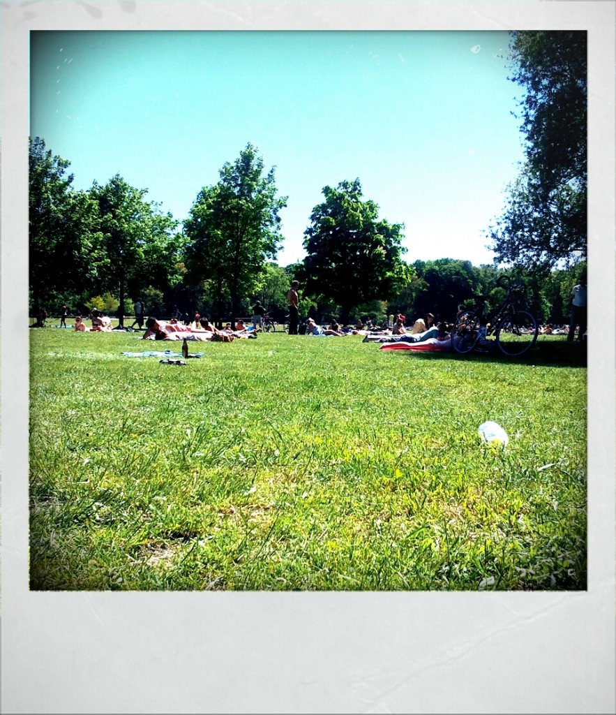 englischer Garten englischer Garten